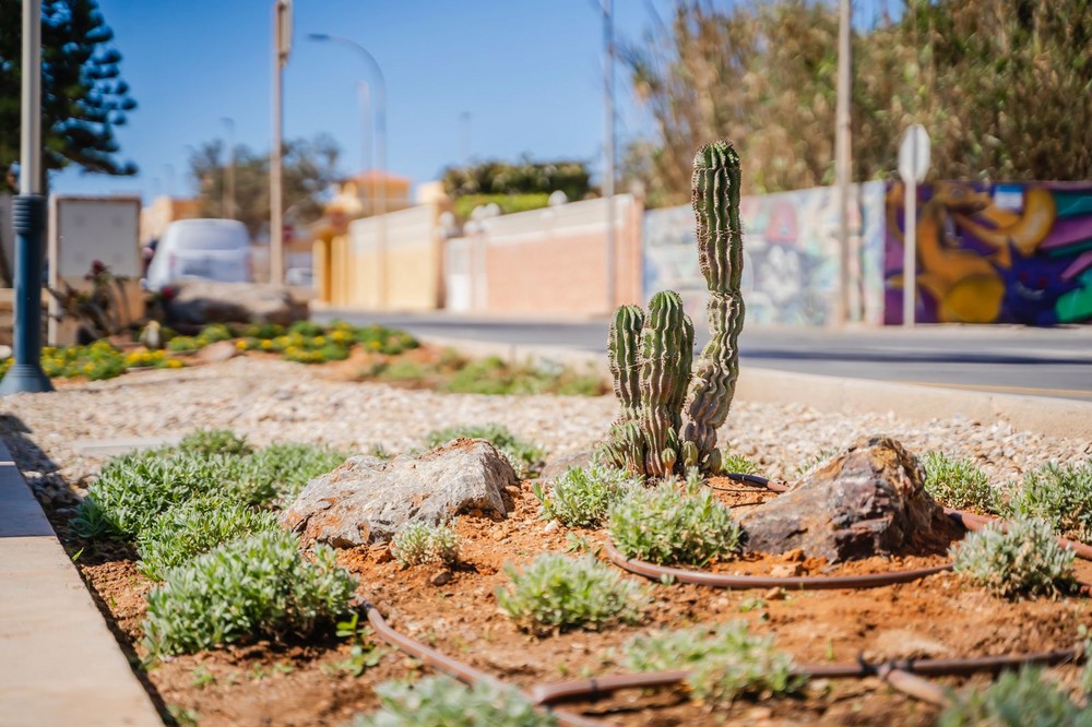 Visita técnica para comprobar los trabajos de mejora de jardinería en la Plaza de la Revoltosa de La Romanilla