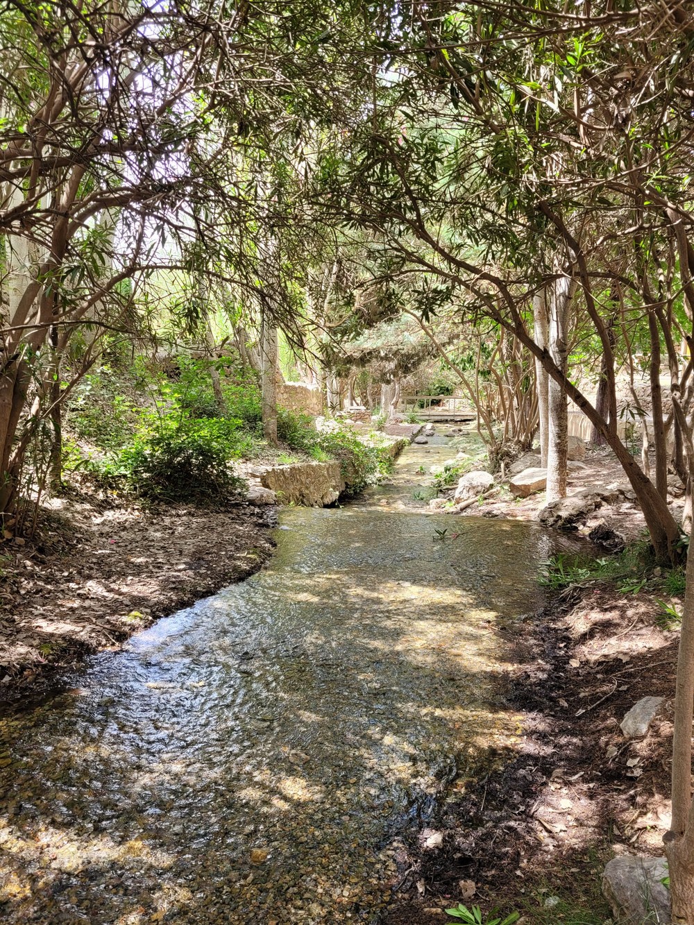 El Ayuntamiento acomete la limpieza del Arroyo de Celín