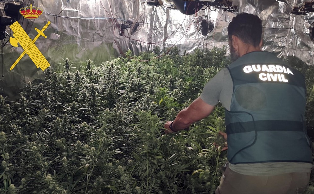 Detienen a un joven de 21 años que había convertido una nave abandonada en un sofisticado cultivo de marihuana