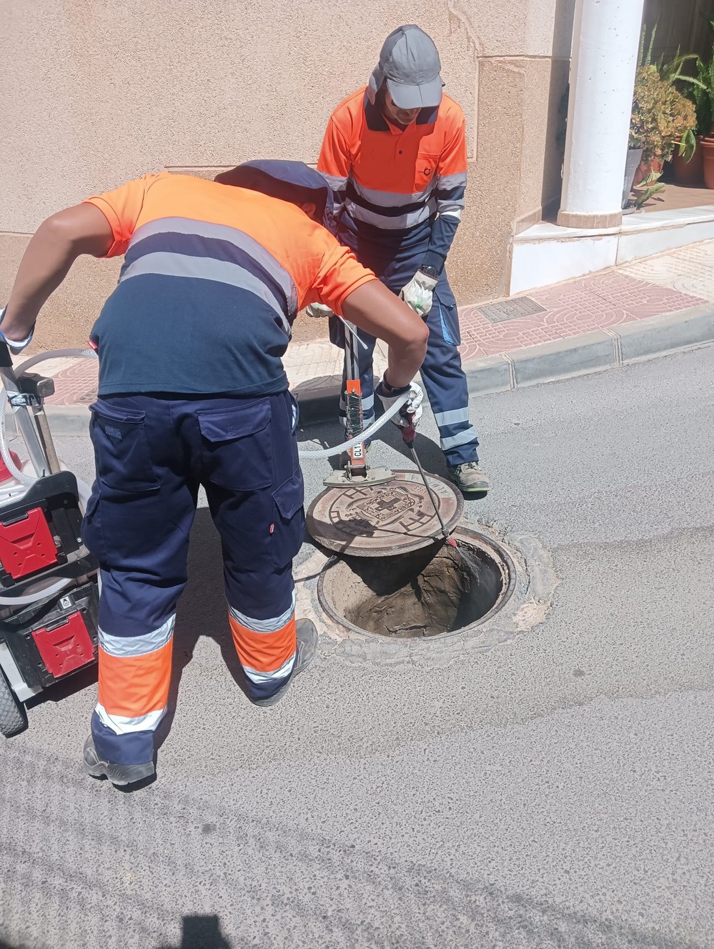 El Ayuntamiento de Dalías inicia los trabajos para el control de plagas