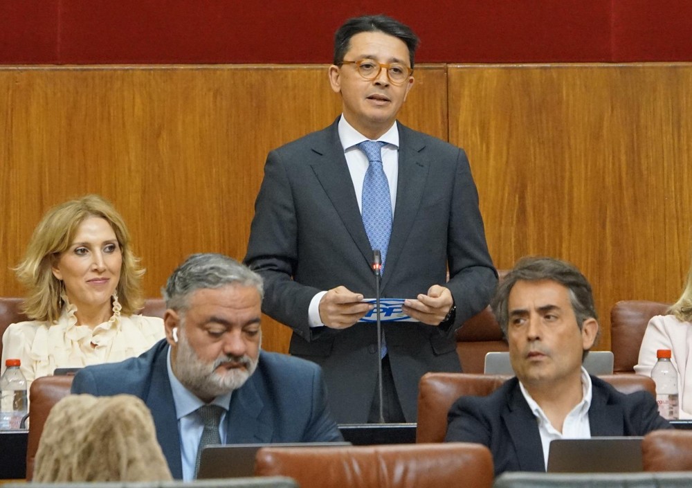 El Parlamento Andaluz pedirá al Gobierno de Sánchez, a petición del PP, el cercanías al Poniente y Bajo Andarax