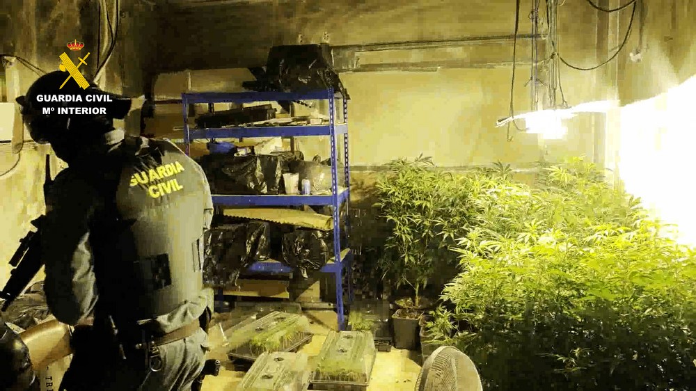La Guardia Civil desarrolla en Roquetas de Mar tres operaciones contra el cultivo de marihuana