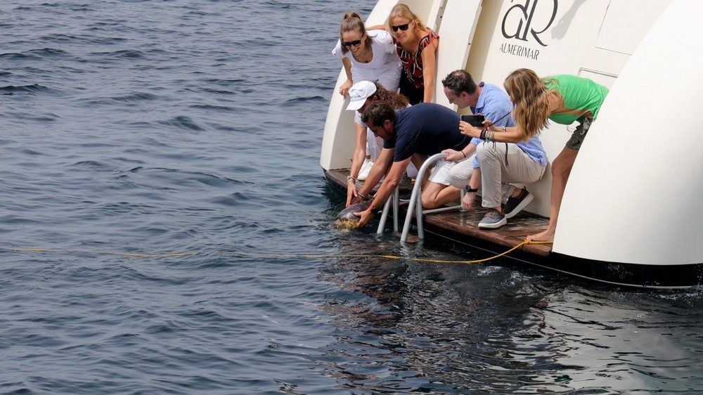 La Junta devuelve al mar en Almerimar a la tortuga Yolanda tras recuperarse de su lesión