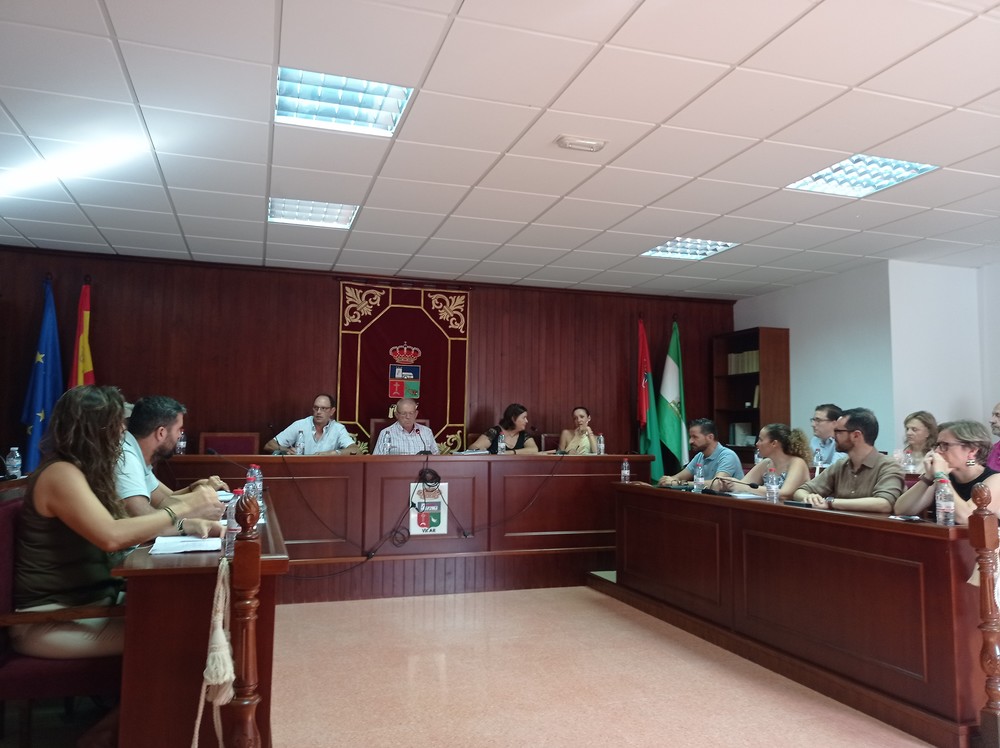 El Pleno de Vícar aprueba un precio unitario para los comerciantes del Mercado