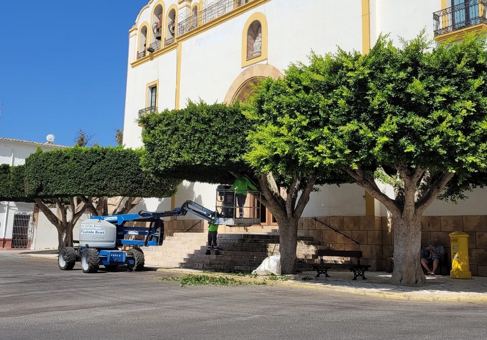 Dalías adjudica el servicio de mantenimiento y limpieza de jardines y zonas verdes del municipio