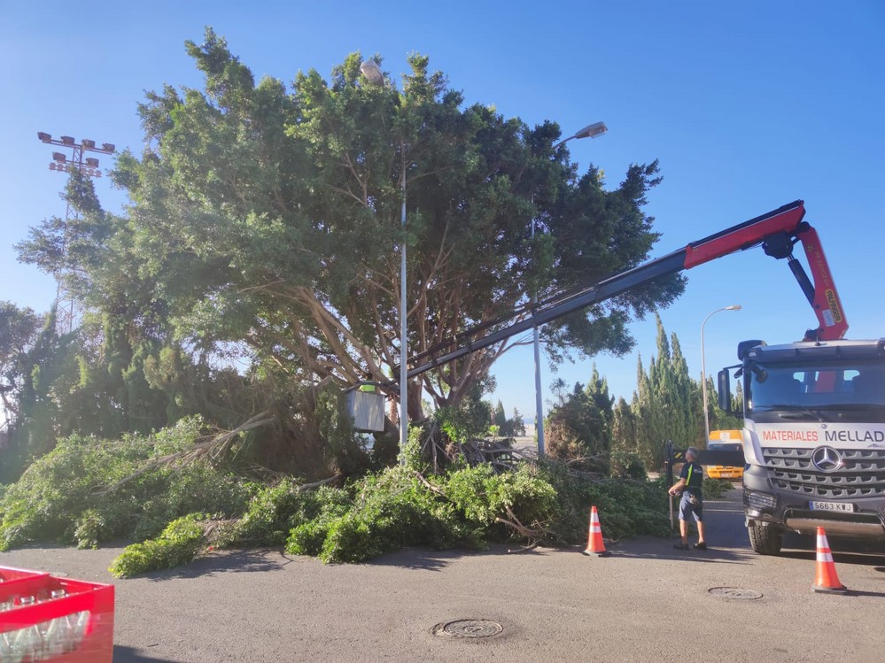 El Ayuntamiento de Adra intensifica las labores de poda y mantenimiento de zonas verdes