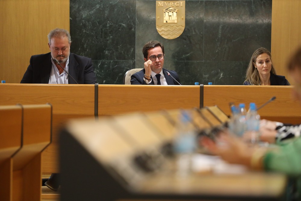 El Pleno de El Ejido aprueba la actualización del precio/hora del Servicio de Ayuda a Domicilio