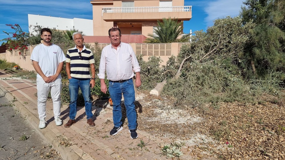 El PSOE de El Ejido exige explicaciones tras la tala de más de cien árboles maduros en Almerimar