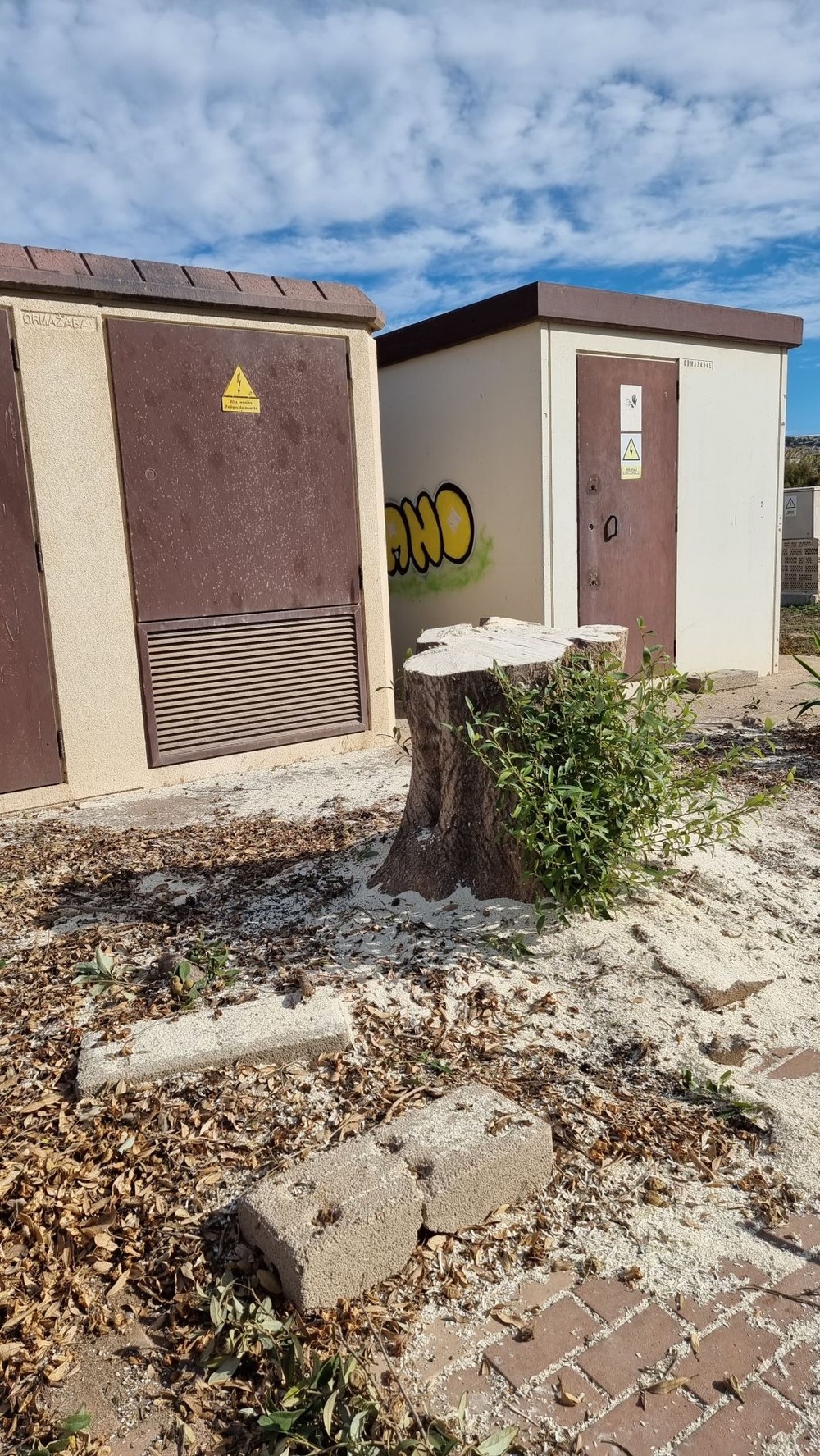 El Ayuntamiento ejidense señala que los árboles talados en Almerimar provocaban problemas de salud a los vecinos