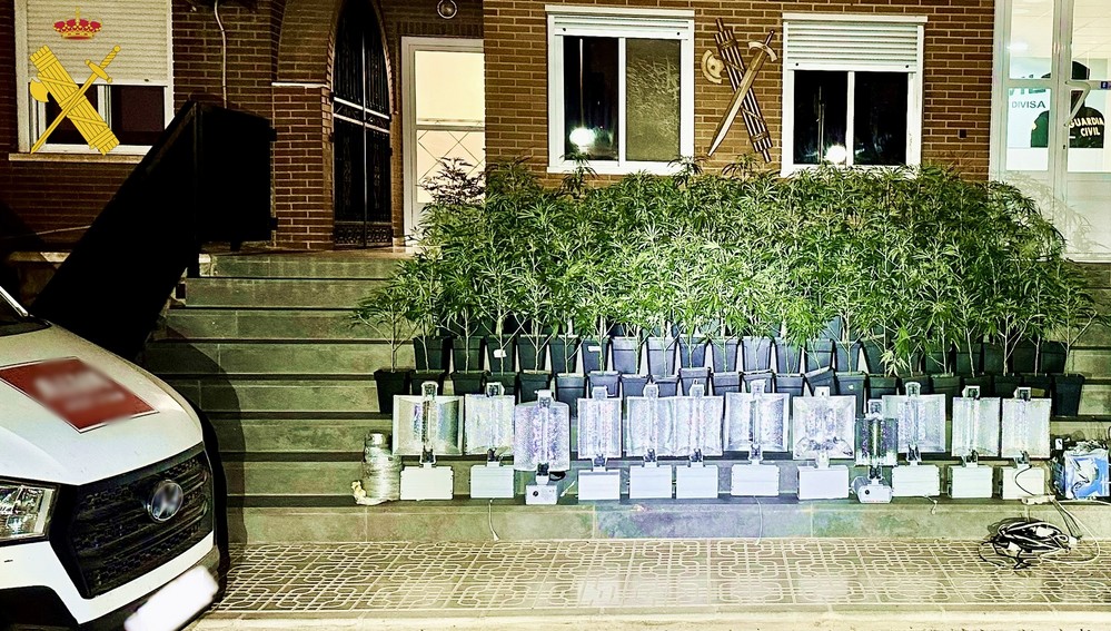 Tres jóvenes detenidos mientras transportaban un centenar de plantas de marihuana entre Dalías y El Ejido