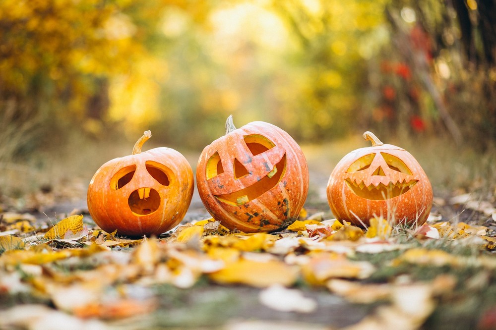 Halloween ‘para pasarlo de miedo’ con cuentacuentos, taller de decoración de galletas y actividades en los núcleos de El Ejido