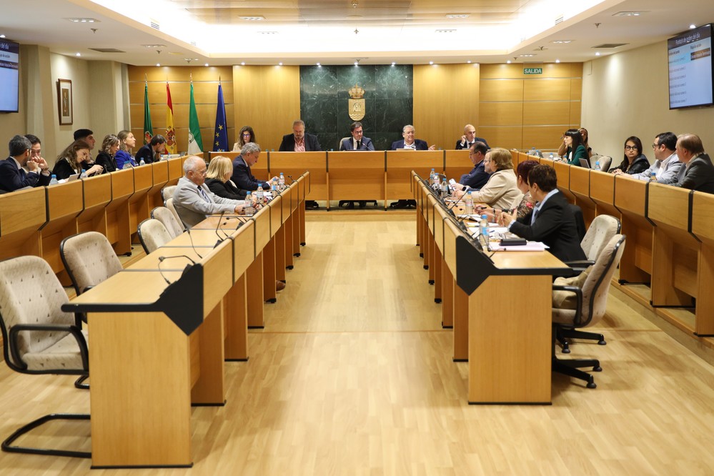 La mayoría del PP saca adelante el presupuesto de El Ejido para 2025 que asciende a 117,3 millones de euros