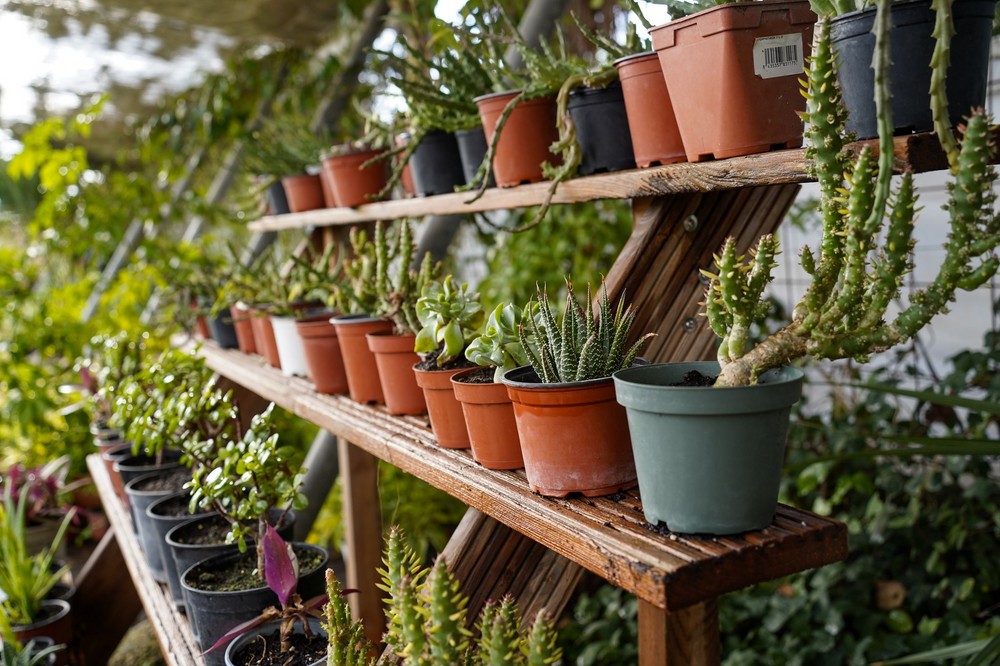 Los talleres municipales de Jardinería y Cerámica de El Ejido benefician a una quincena de usuarios cada uno