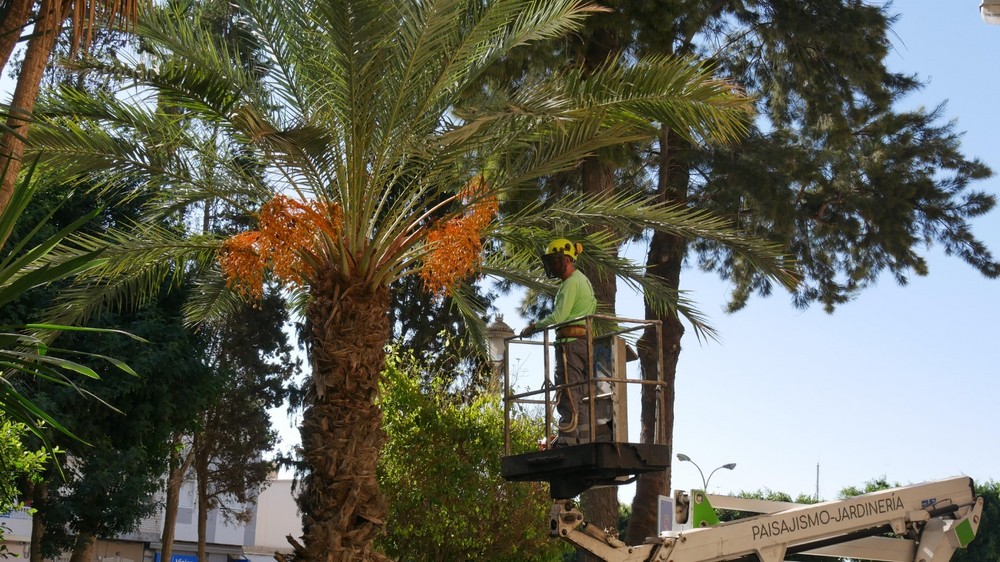 Adra destina 186.000 euros para reforzar el mantenimiento de parques y jardines