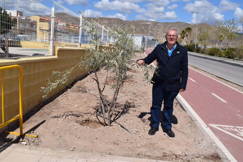 Unos 50 nuevos árboles se han incorporado a las zonas verdes de los bulevares Ciudad de Vícar y de la Paz