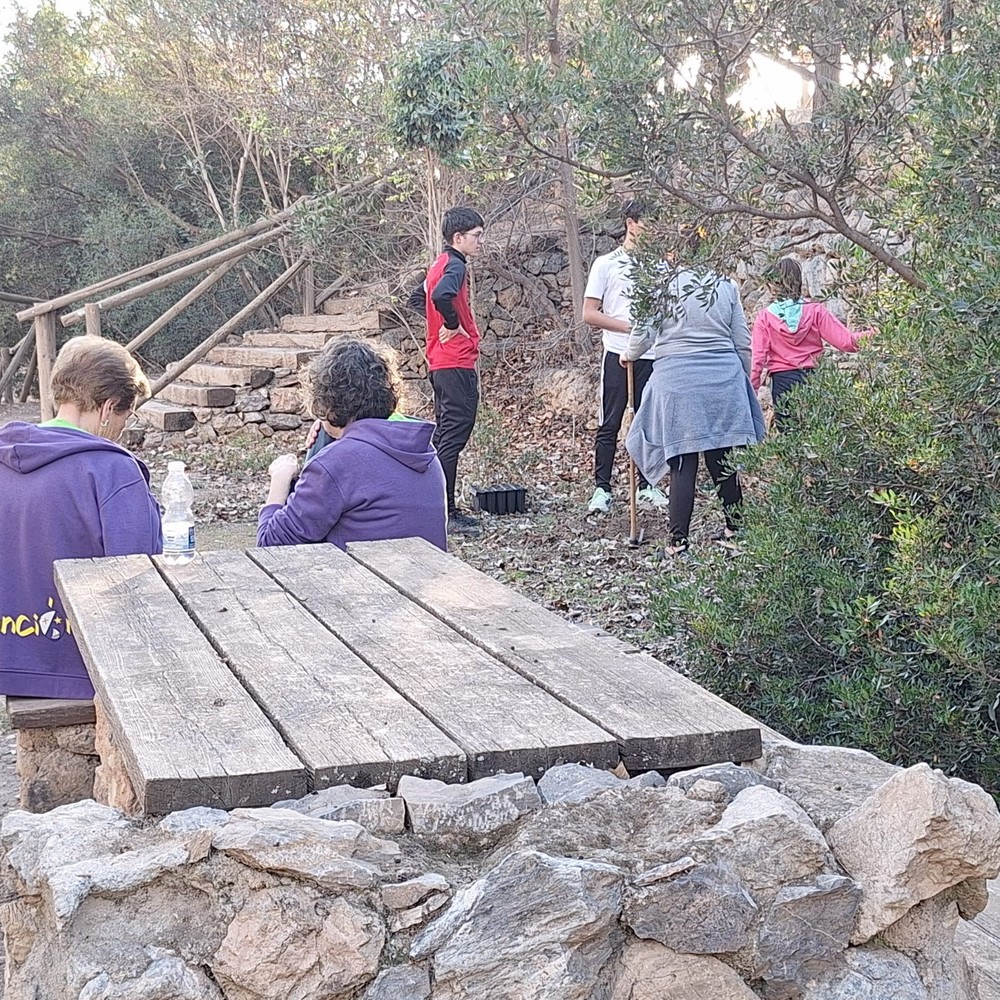 DaliAsuntillos siembra 60 algarrobos en el Arroyo de Celín