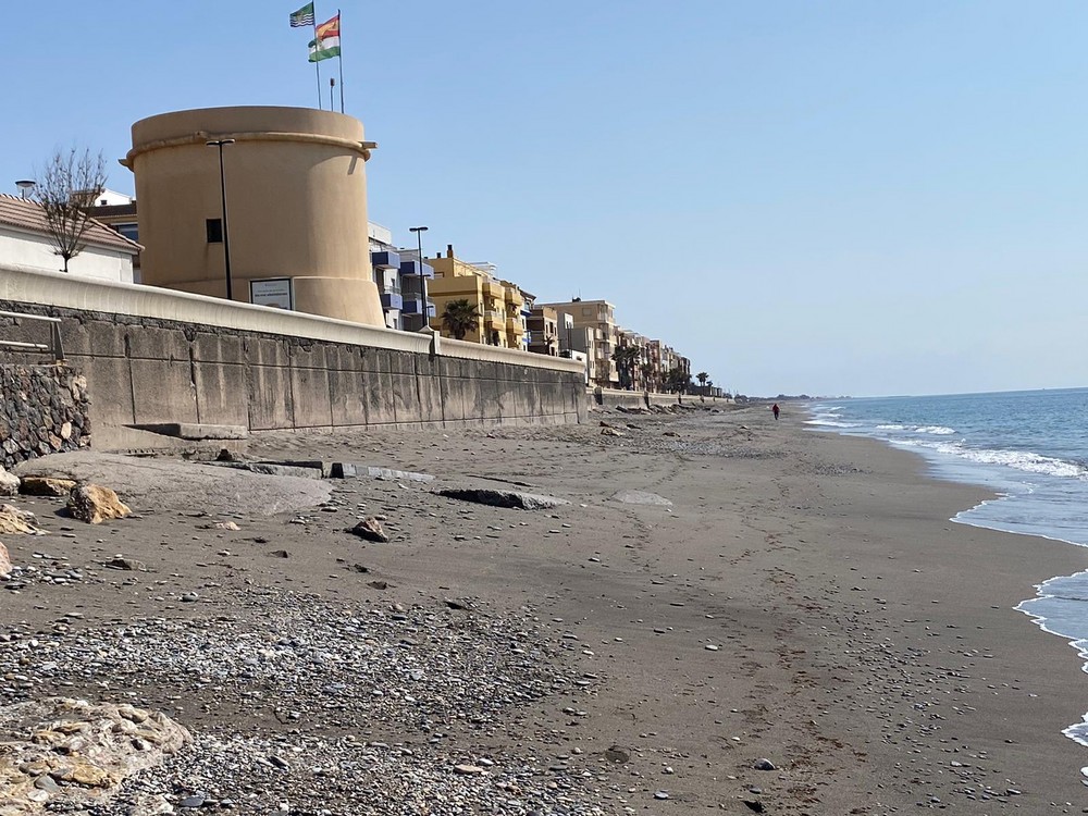 Góngora considera "adecuada" la propuesta de la Subdelegación para la playa de Balerma