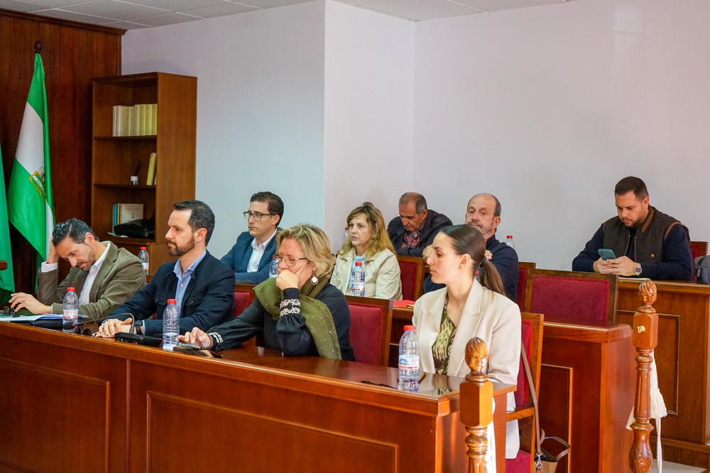 Vícar pide al Consorcio de Transportes una línea de autobús diaria y con mayor frecuencia entre La Envía y la capital y el Poniente