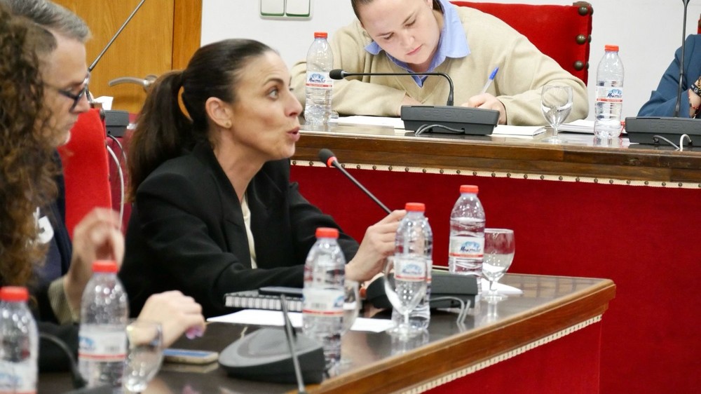 Aprobada la ordenanza municipal reguladora de la cesión de uso de material municipal de Adra