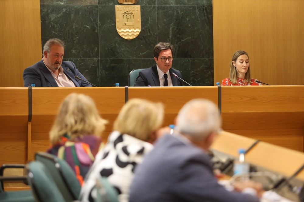 El Pleno exige al Ministerio de Hacienda una modificación de la Orden de Módulos para hortícolas y ornamental de El Ejido
