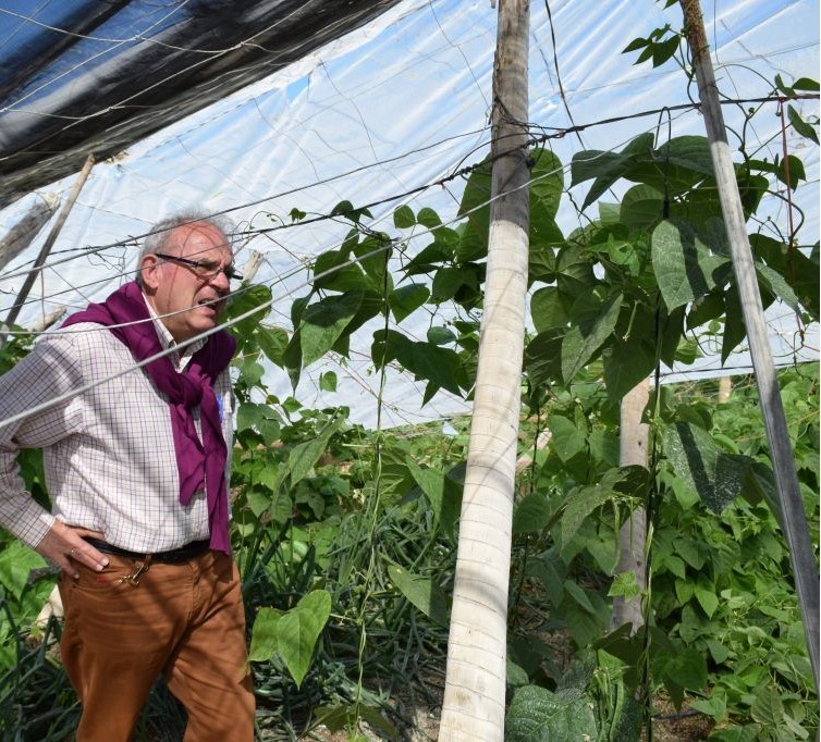 El alcalde de Vícar pide al Gobierno una rebaja fiscal para los agricultores que compense los daños por virosis y la mala climatología