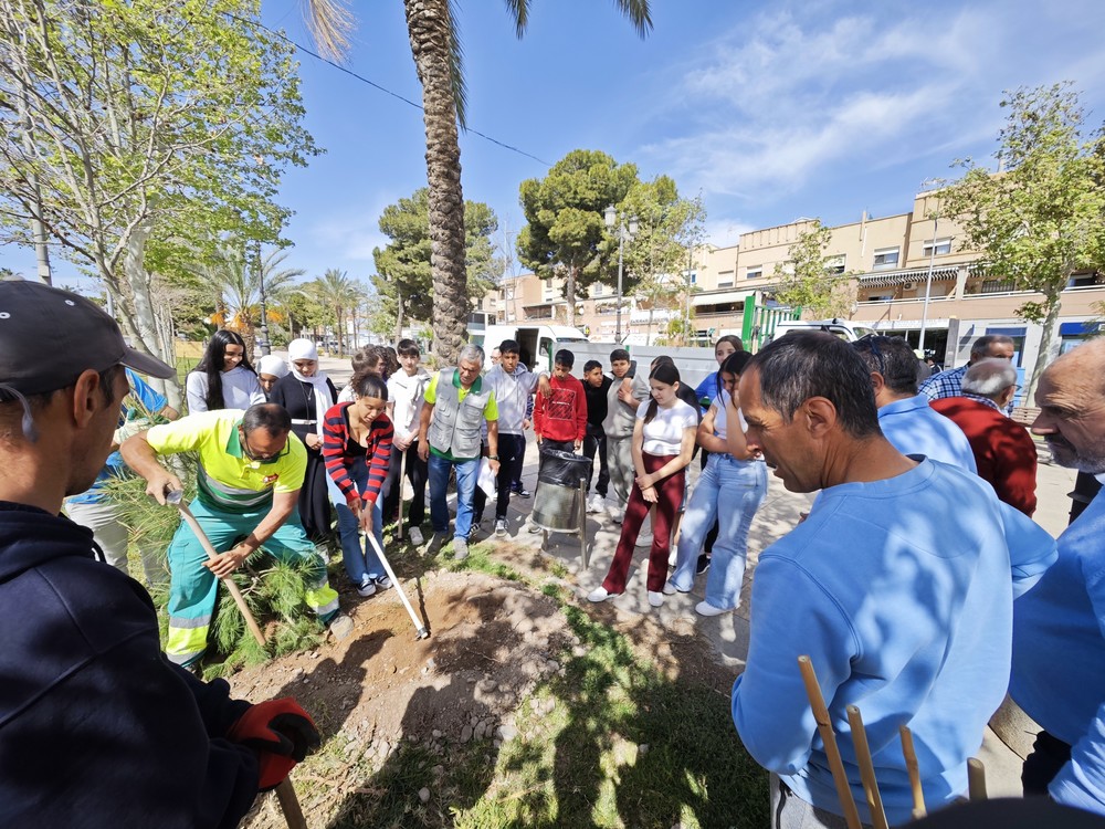 Vícar continúa creando y mejorando sus espacios verdes gracias al Plan Savia 2024-2025