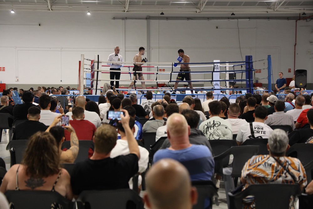 Velada de boxeo homenaje a la familia Bisbal con duelo profesional de Álvaro ‘El Mago’ Godoy