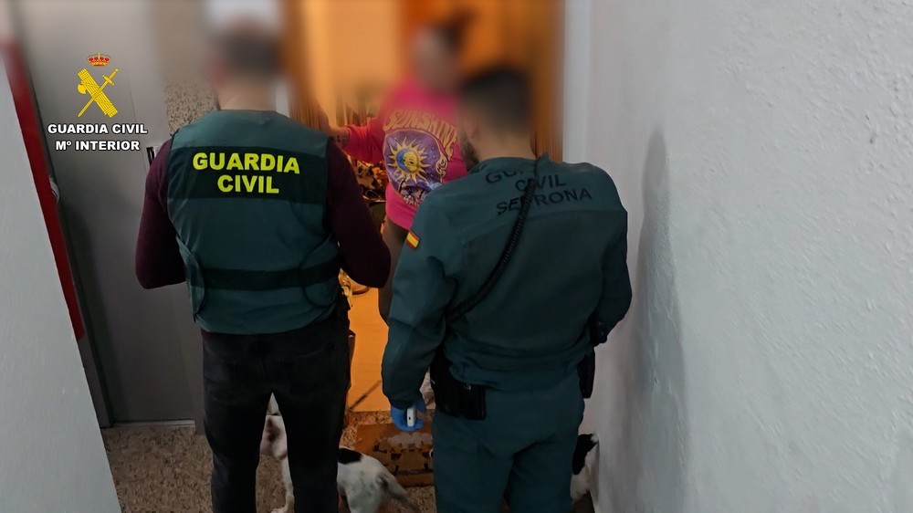 A prisión la roquetera acusada de montar una falsa protectora de animales que mantenía en condiciones terribles