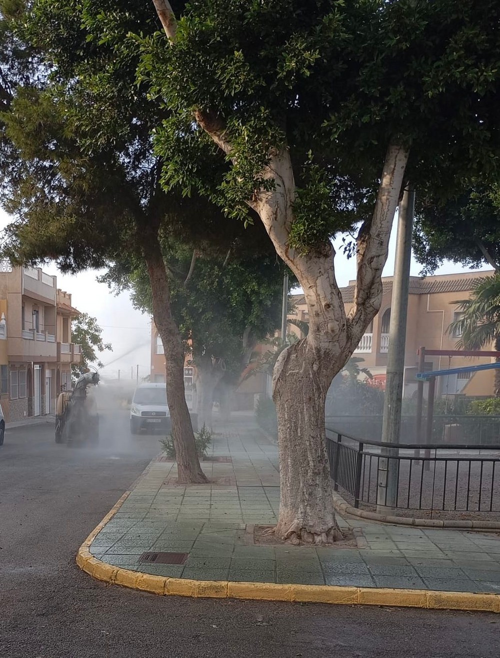 El Ayuntamiento refuerza las labores de vigilancia, alerta y fumigación ante la alerta por la fiebre del Nilo Occidental