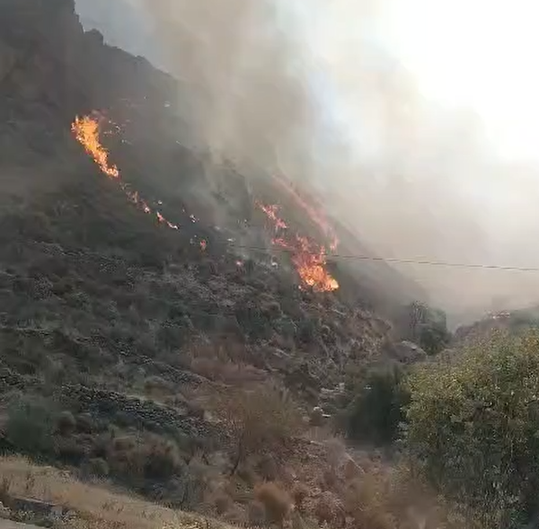 Se extiende un peligroso incendio forestal en la carretera entre Adra y Berja
