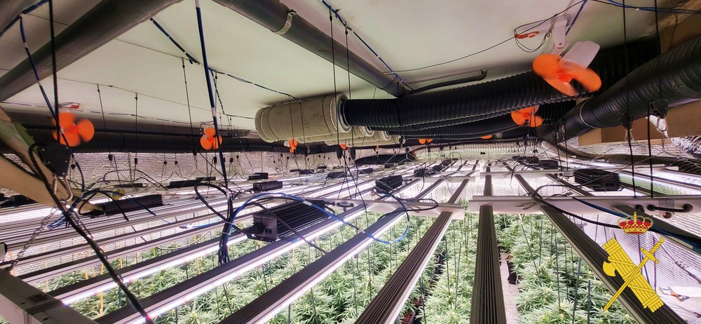 Intervienen una plantación de marihuana indoor de última generación en Adra