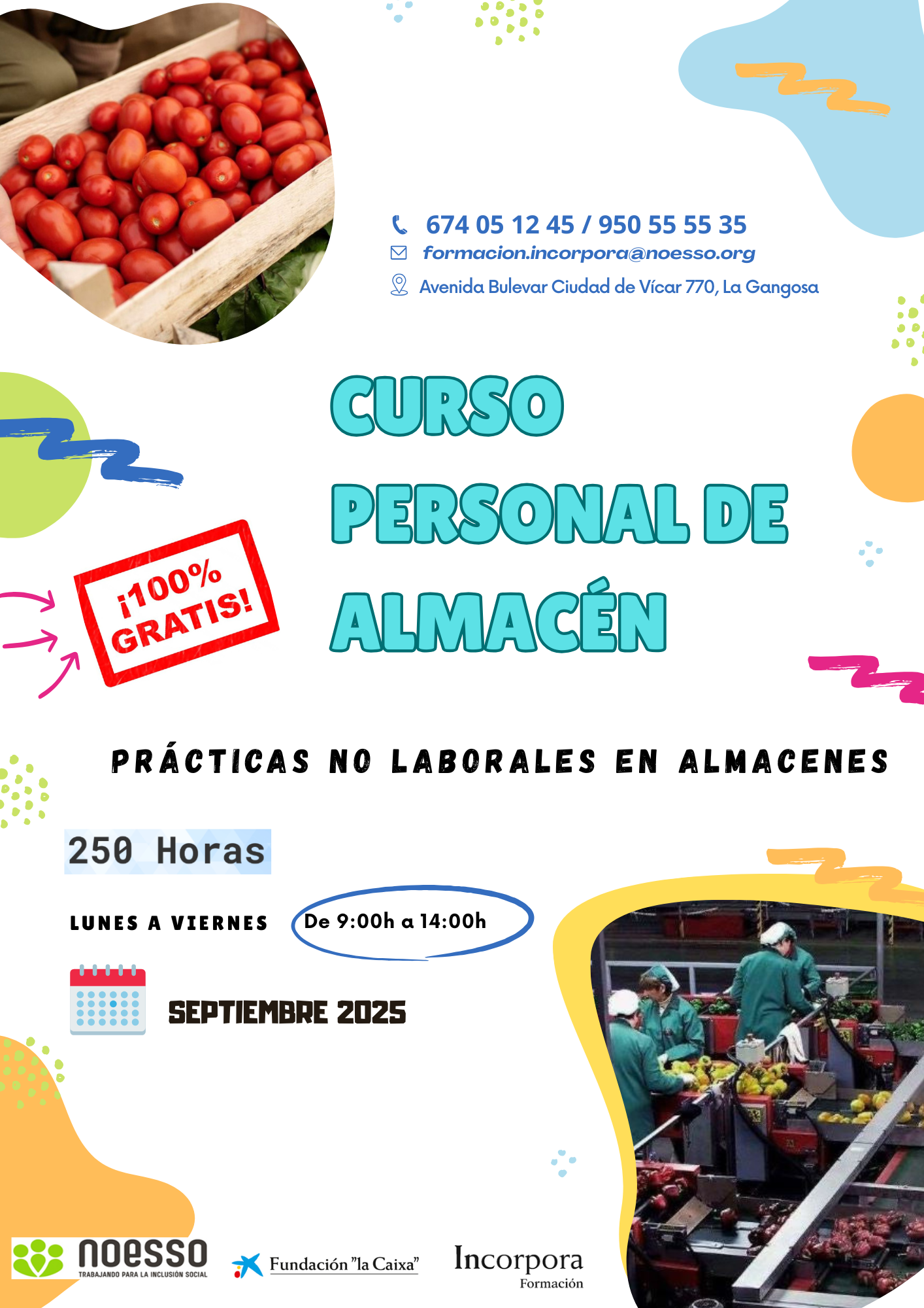 La Asociación NOESSO lanza un nuevo curso de Personal de Almacén en el municipio de Vícar