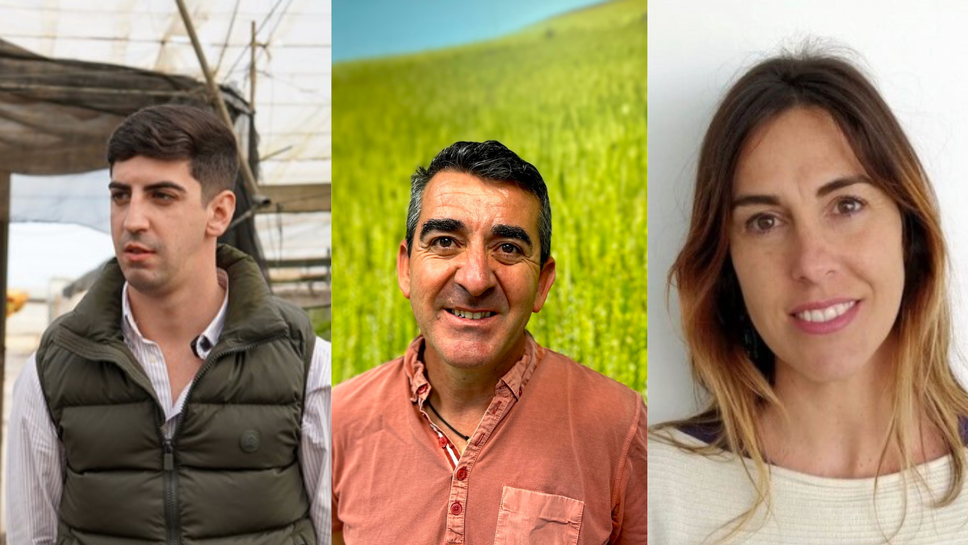 El Ayuntamiento de El Ejido, IFAPA y Koppert suman fuerzas para mostrar cómo las plantas se convierten en eficaces enemigos de las plagas