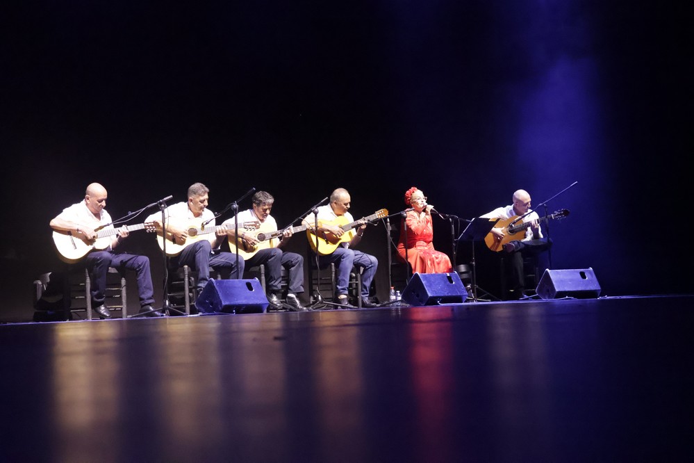 La Asociación Francisco Velarde une cante, baile y solidaridad a beneficio de El Timón