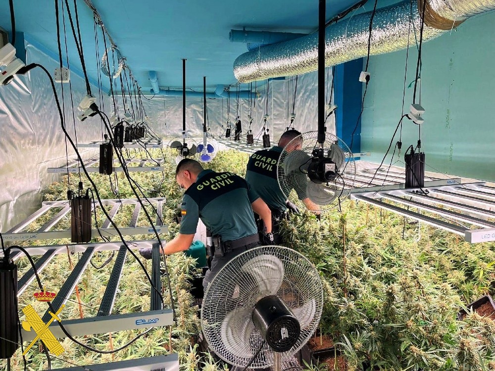 Tres detenidos implicados en una plantación de marihuana en Vícar
