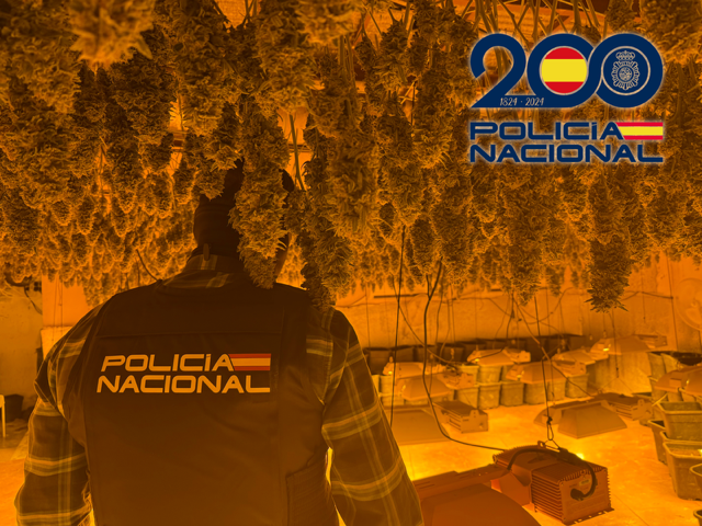 La Policía Nacional en El Ejido desmantela en pocas semanas dos importantes plantaciones interiores de marihuana