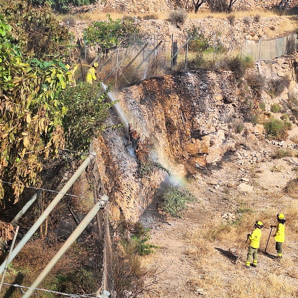 Evitan que un incendio se extienda en Dalías