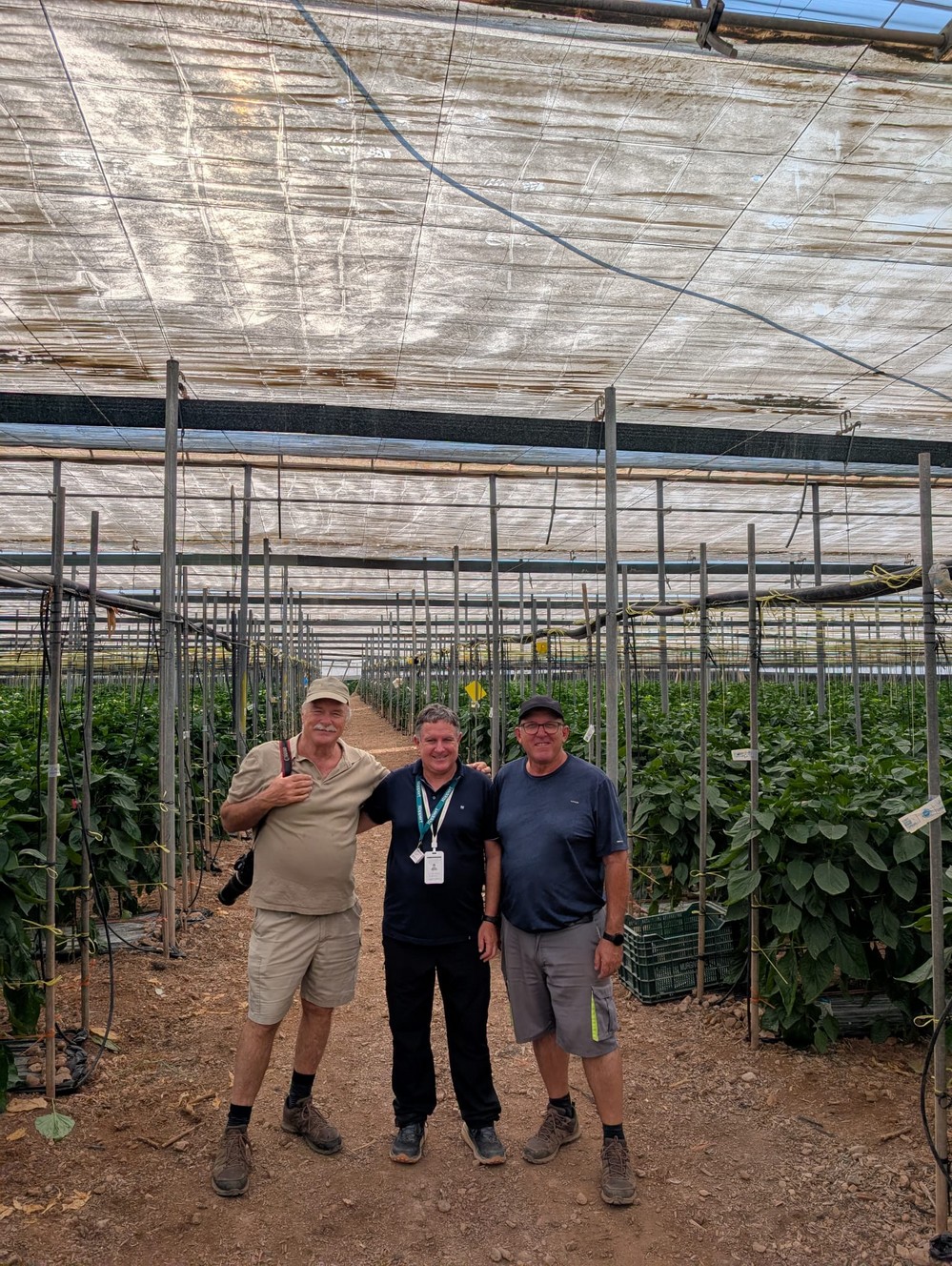Responsables de COEXPHAL visitan Dalías para conocer las inquietudes de los agricultores ante la nueva campaña